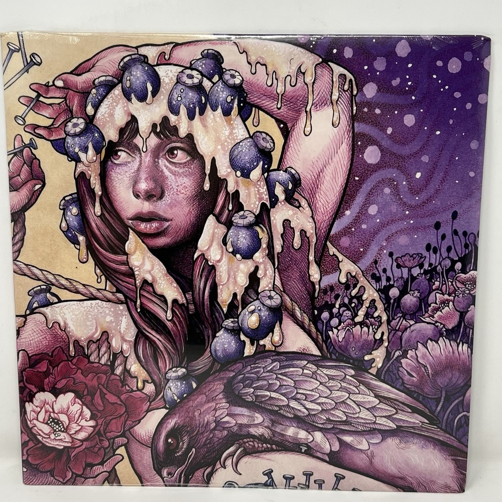 Baroness - Try To Disappear - Maxi Picture Disc NEW Vinyl Record
